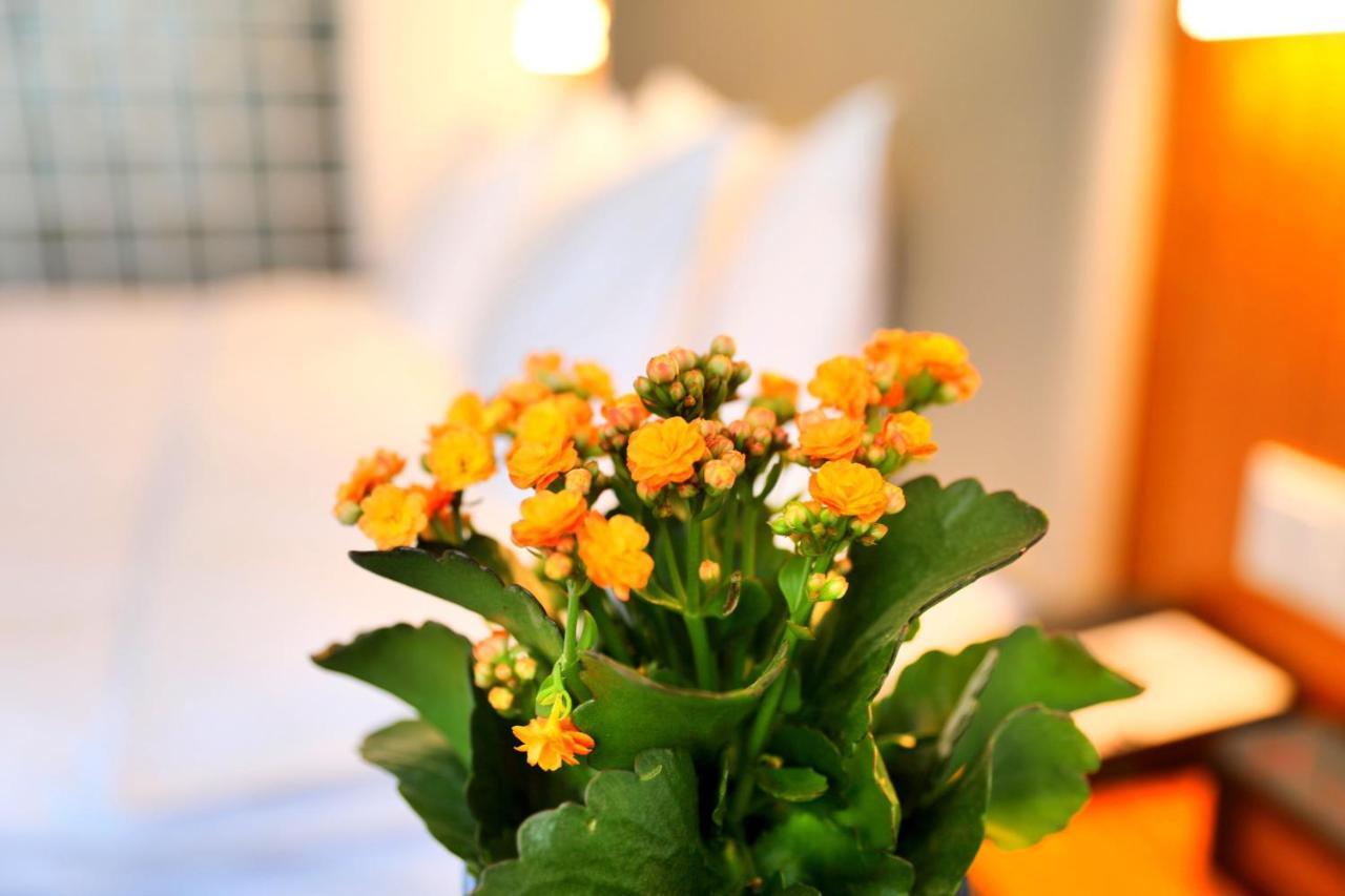 Holiday Inn Express Luoyang Xiyuan Εξωτερικό φωτογραφία
